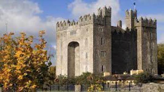 Castletroy Park Limerick